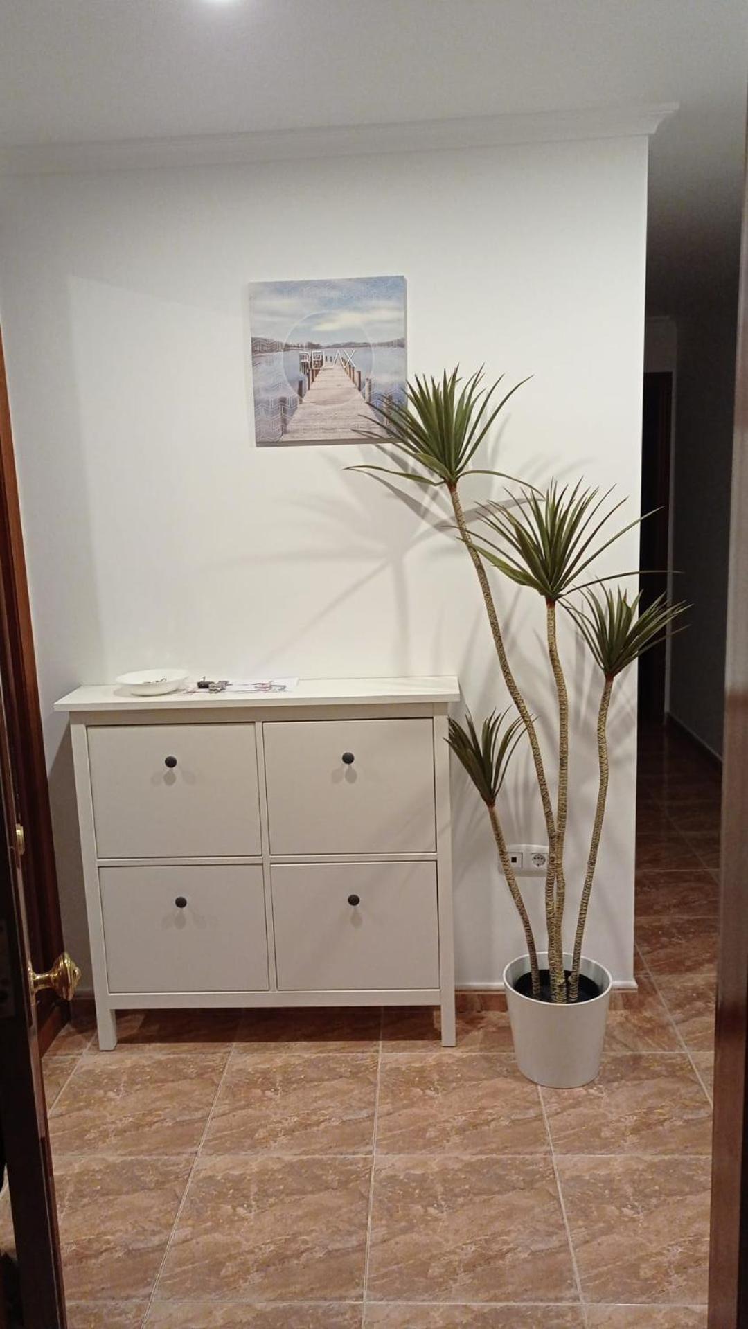 Apartamento Viveiro Διαμέρισμα Εξωτερικό φωτογραφία